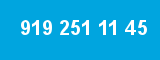 919 251 11 45